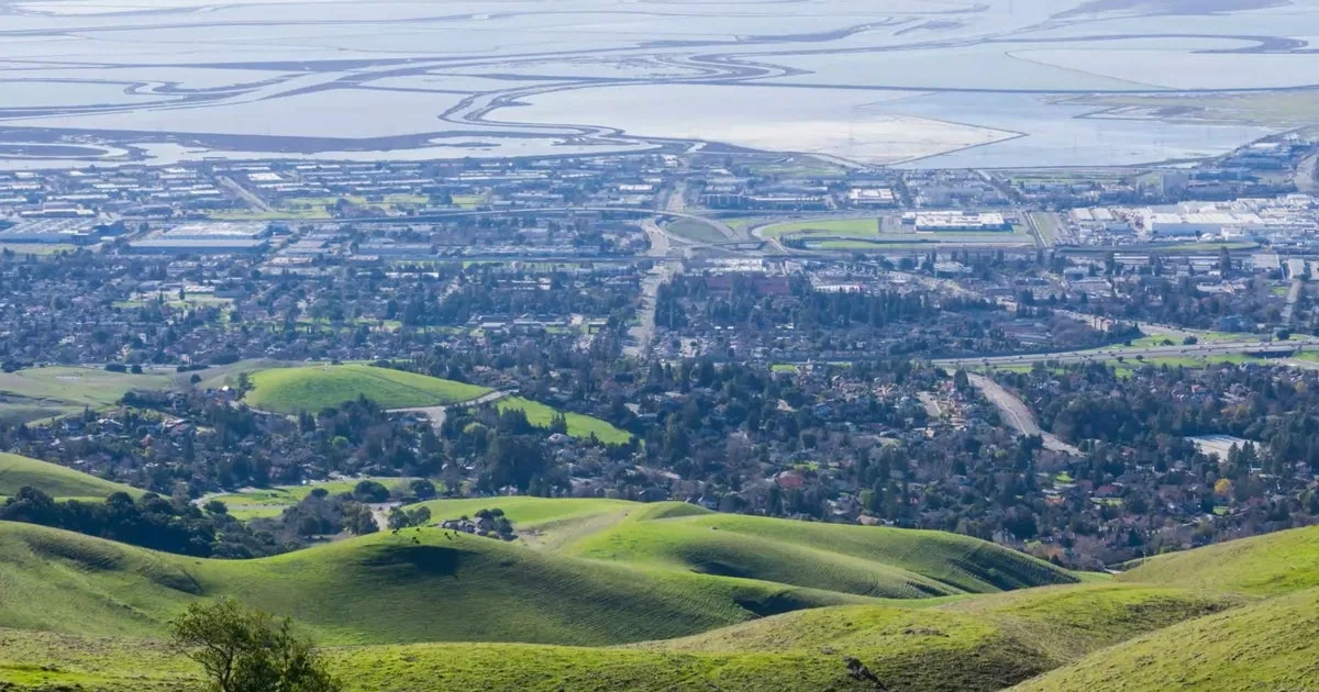 Commercial Roofing in Newark, CA