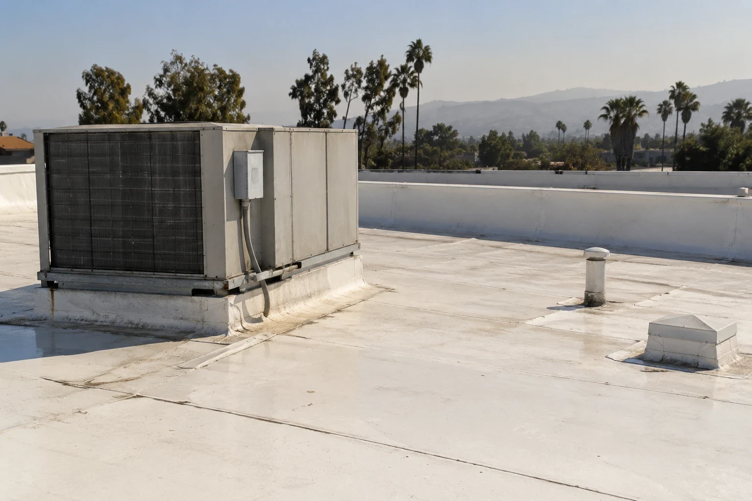PVC roof layout and detail review