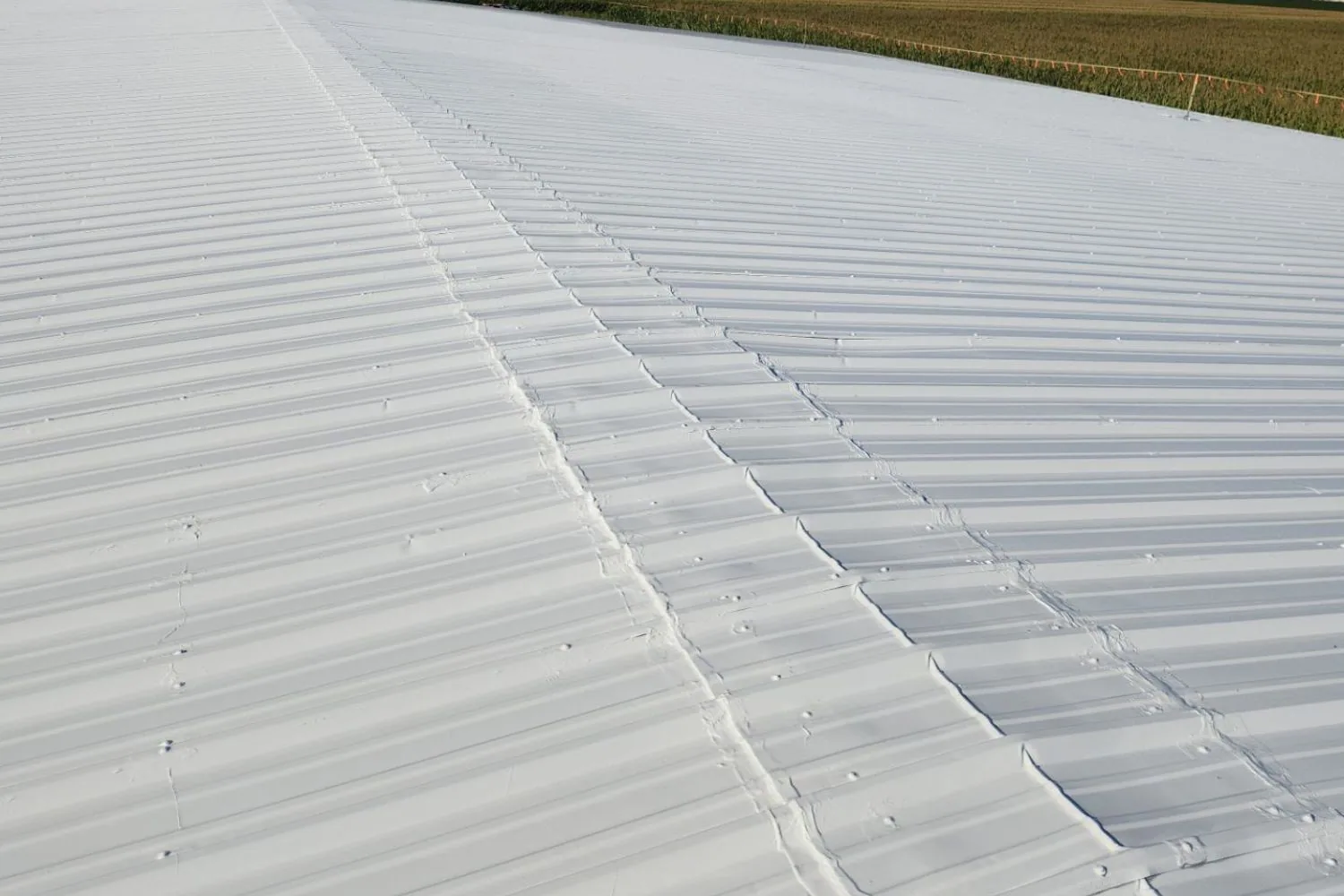 Silicone Roof Coatings in Fremont, CA