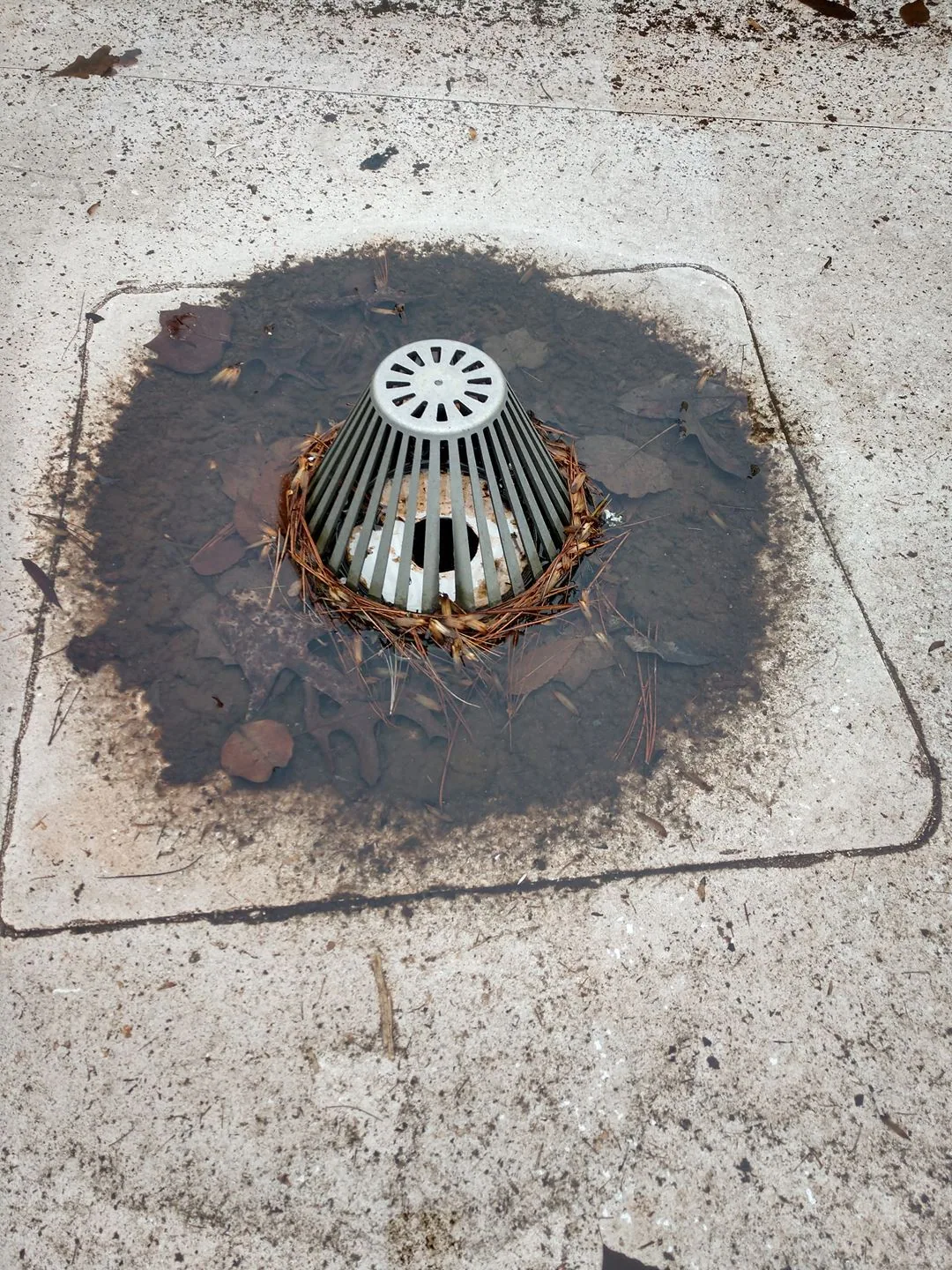 Roof Drains and Scuppers in Fremont, CA